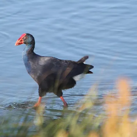 Апартаменты T1 Herdade Dos Salgados Албуфейра