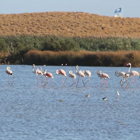 公寓 T1 Herdade Dos Salgados *